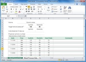 blood pressure recording chart excel