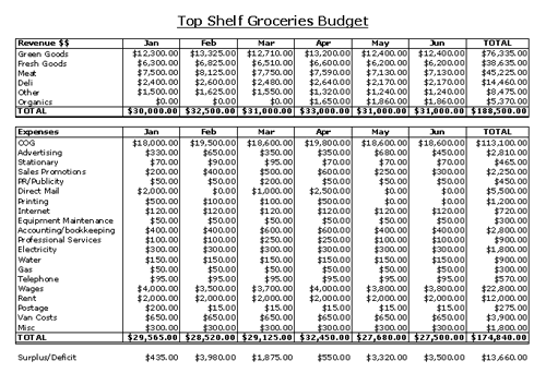 business-budget-template4-4